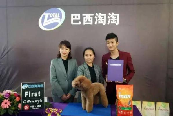 探究NGKC证书取得时间的关键因素（NGKC证书获得进程与时间分析）
