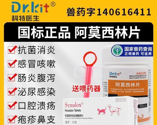 小猫胃炎的治疗方法（有效药物缓解小猫胃炎的症状）