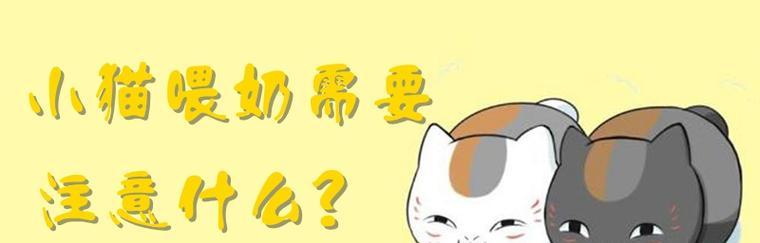 小猫出生后的关注事项（为你的小猫宝宝提供最好的照顾）