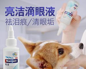 解决狗狗长眼屎的有效药物推荐（帮助狗狗摆脱眼屎困扰，恢复清晰视野）