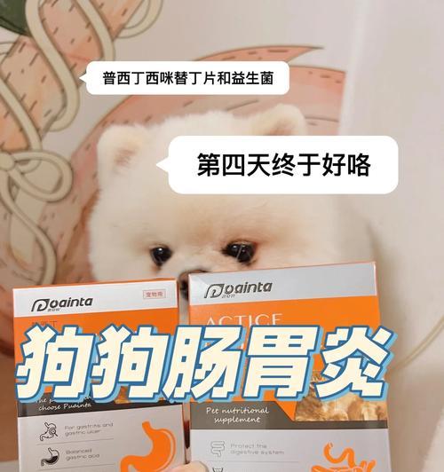 狗肠胃炎的治疗方法探究（探讨以何种液体为狗肠胃炎的最佳治疗方法）