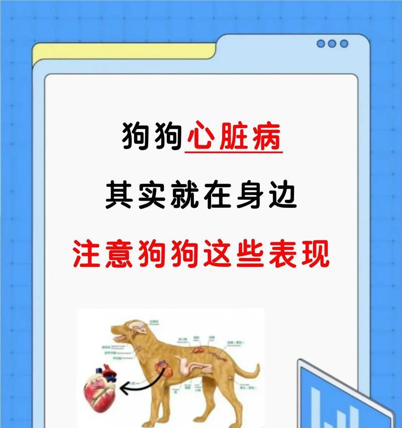 小狗喘气的声音究竟是由什么原因引起的？（探寻小狗喘气声背后的原因和解决方法）
