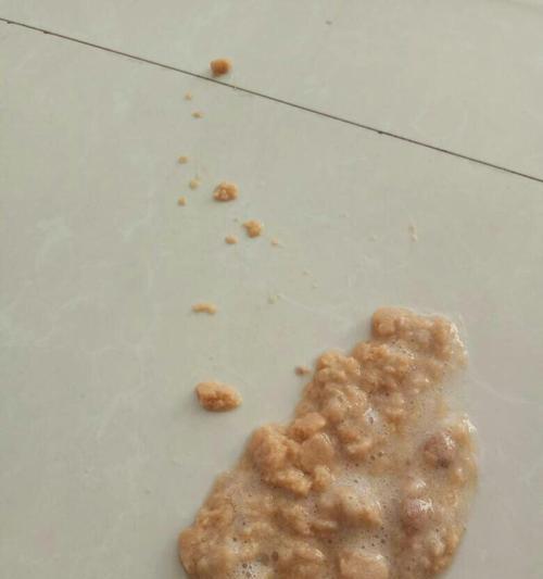 狗狗老吐不止，应该吃什么药？（解决狗狗吐泄问题的有效药物及注意事项）