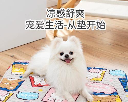 狗的睡眠需要什么样的垫子？（提供舒适与支持，为你的狗提供理想的睡眠体验）