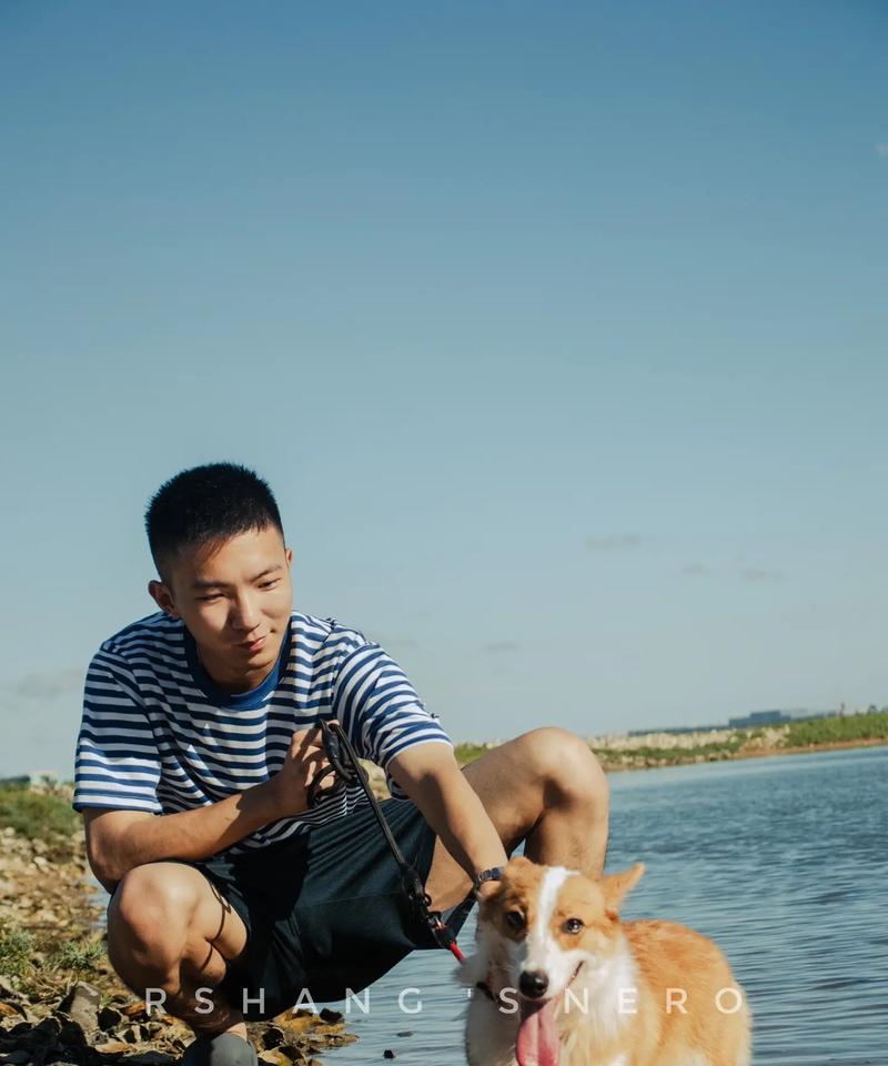 探寻狗的姿势背后的含义（解读狗的姿势，了解它们的情绪与意图）