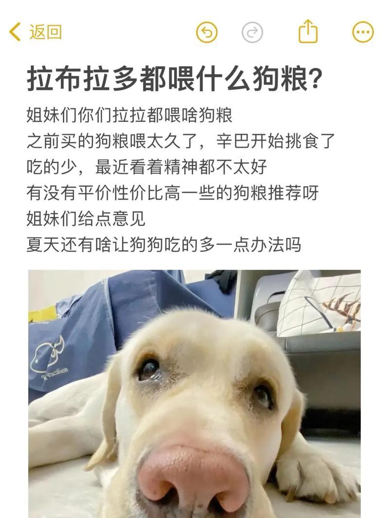 四个月大的小狗应该吃什么样的狗粮？（为您揭秘四个月狗狗的饮食秘密！）