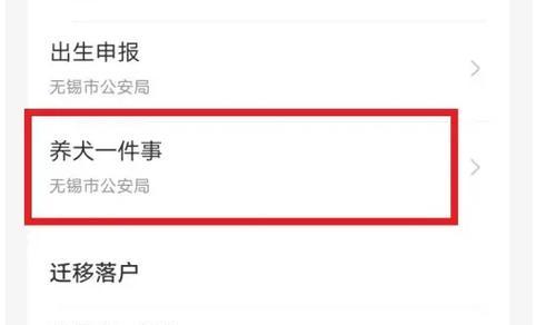 办理狗证的重要性及时间要求（了解狗证办理流程和适当时机，确保宠物的合法身份）