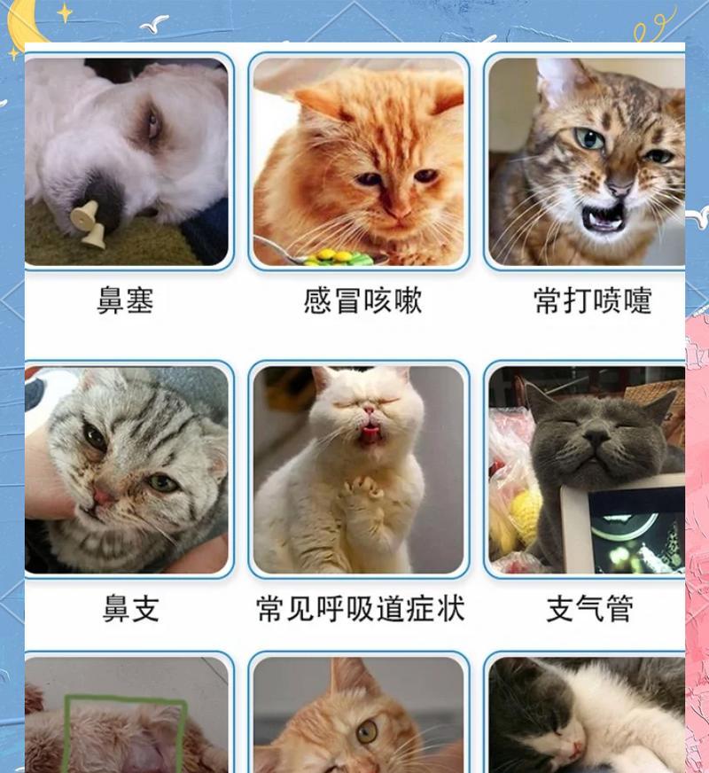 狗狗打喷嚏流鼻涕的原因及应对方法（探究狗狗打喷嚏流鼻涕的种种原因，帮助主人更好地照顾宠物）