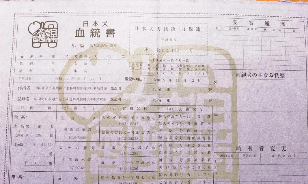 探究以血统证书是查什么？（揭开血统证书背后的秘密）
