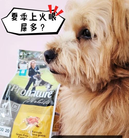 狗狗上火怎么办？合理饮食调理帮助宠物舒缓不适（狗狗上火吃什么饭？饮食小妙招助你照顾爱宠健康）