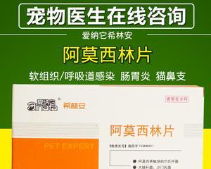 宠物狗狗咳嗽的治疗方法及药物推荐