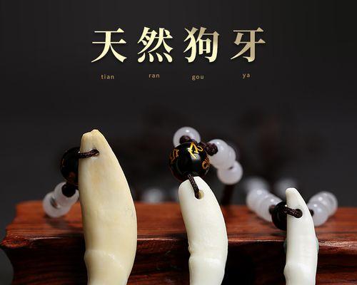 狗牙龈出现黑色物质的原因及预防方法（了解黑色物质形成的原因，保护狗牙龈健康）