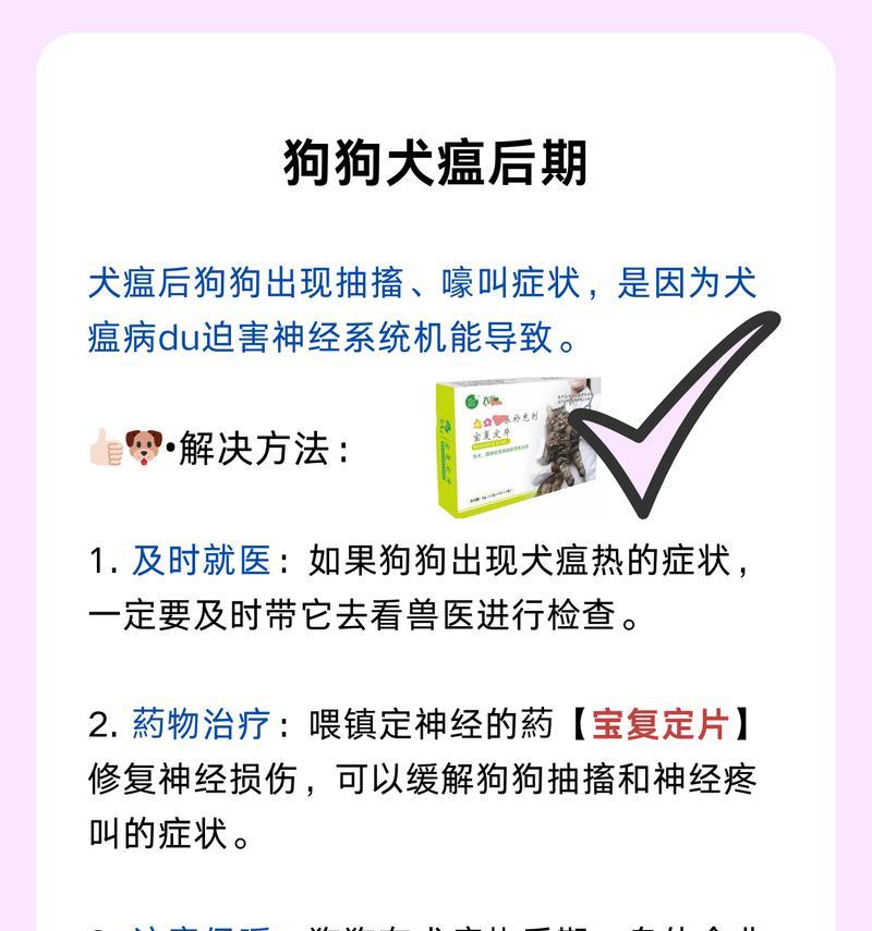 治疗神经性犬瘟的主要药物及效果分析（探索有效的神经性犬瘟治疗药物，提高治愈率）