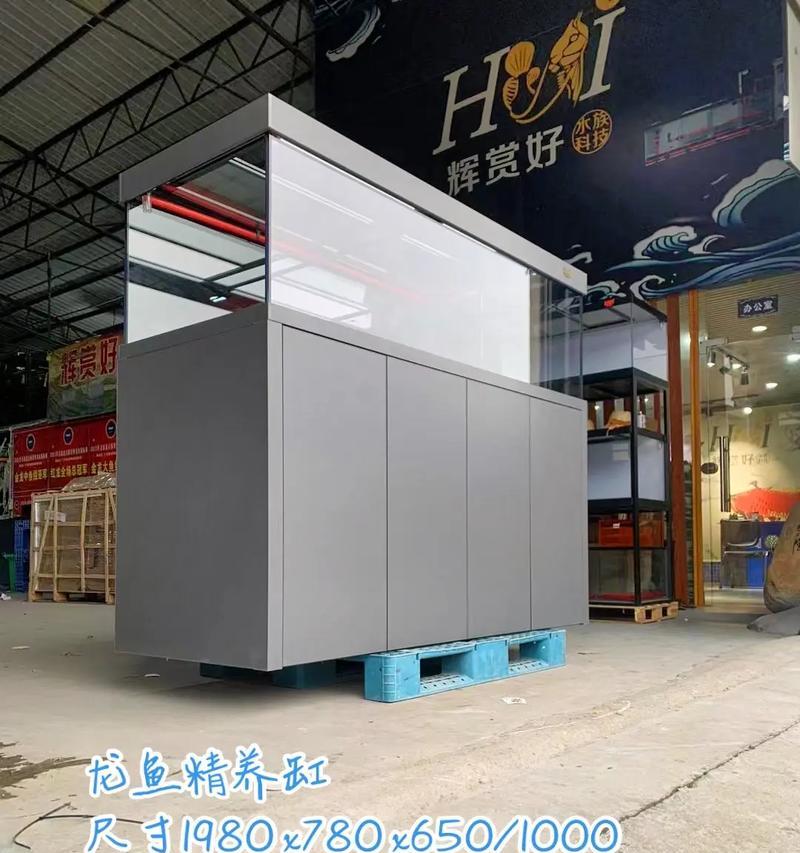 小龙鱼入缸的注意事项（打造舒适的水族环境，让小龙鱼健康成长）