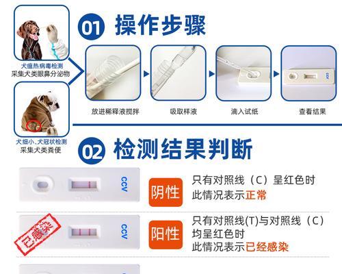 如何选择适合你的宠物（通过测试找到最适合你的宠物伴侣）