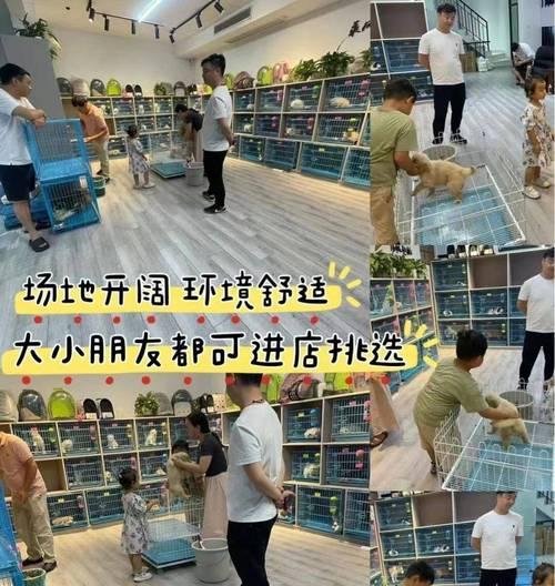 实体店购买狗的弊端（了解实体店购买狗的几个关键弊端，保护宠物健康与权益）