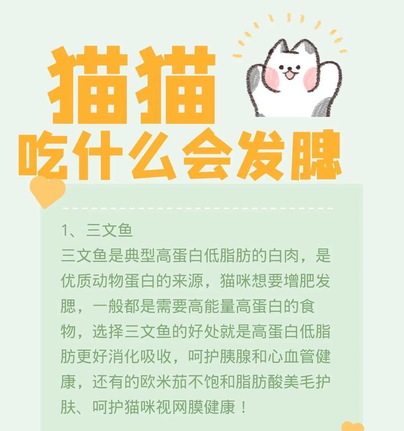 猫可以吃什么？了解它们的食谱是关键（探索猫咪饮食习惯，保持它们的健康与幸福）