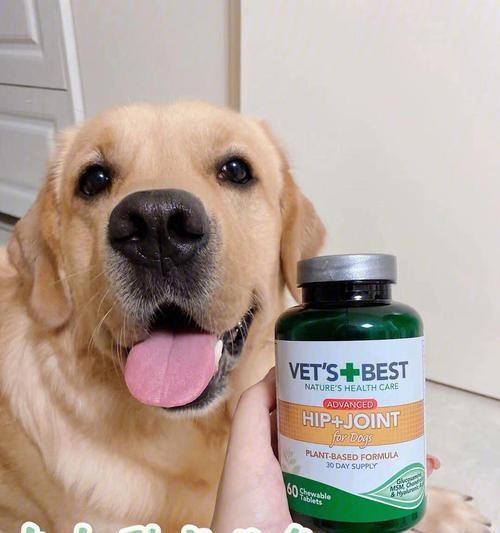 狗退烧的有效药物（选择适合的药物，让狗快速退烧）