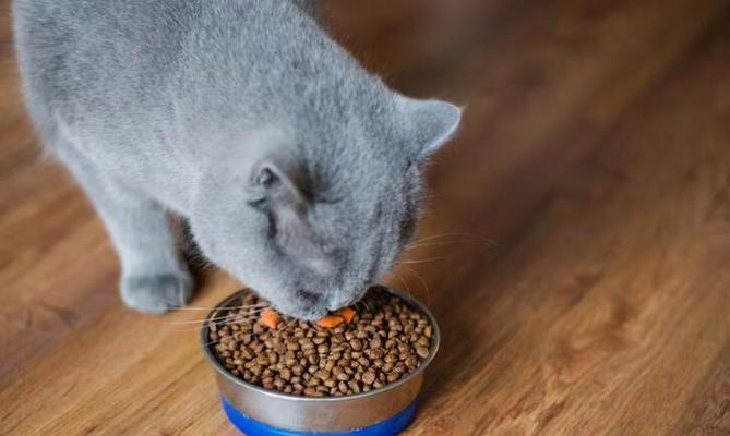 刚刚断奶的猫咪应该吃什么？（科学合理的饮食对猫咪健康成长至关重要）