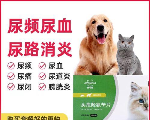 如何治疗狗膀胱疾病——药物治疗方法及注意事项（狗膀胱不好，怎样选择正确的药物治疗？）