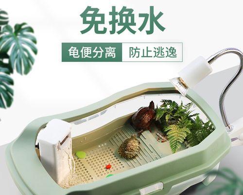 30方缸养龟的全面指南（以小型龟类为主的适宜饲养环境与方法探究）