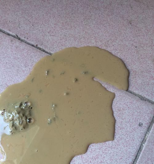 四个月金毛吐了，原因和处理方法大揭秘（了解为什么四个月金毛吐了，正确处理方法教你一招）