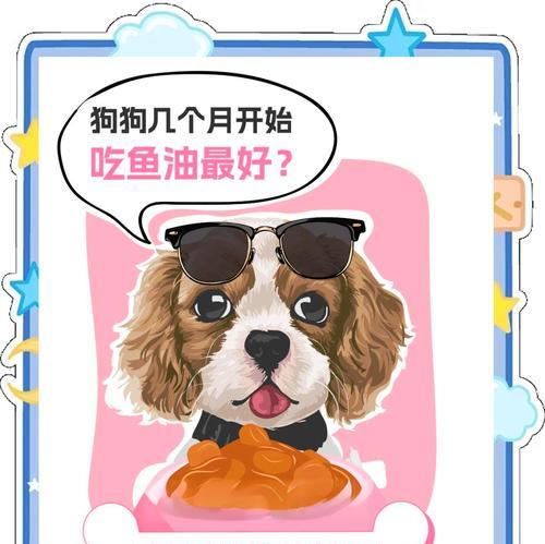 如何正确喂养两三个月大的狗狗（营养均衡饮食的关键要素及注意事项）