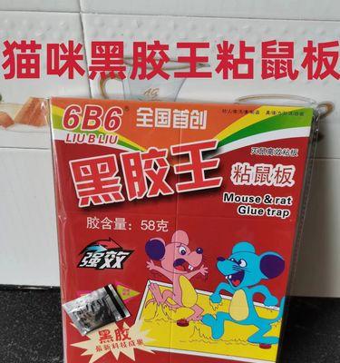 如何有效驱赶猫（探索有效的方法来远离猫咪侵扰）