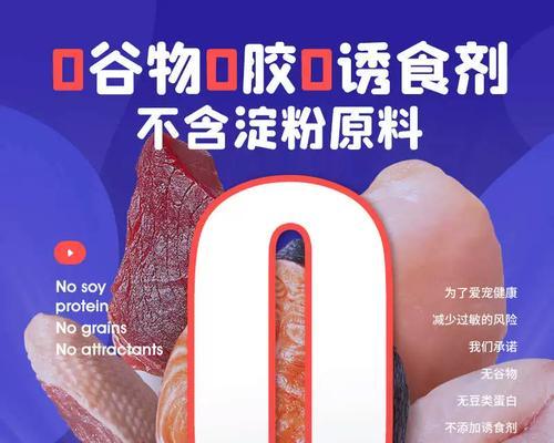 给猫补钙的最佳食物选择（满足猫咪健康成长的营养需求）