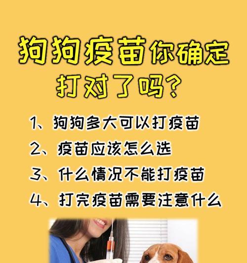 幼犬疫苗接种指南（疫苗种类、价格及接种时机一览）