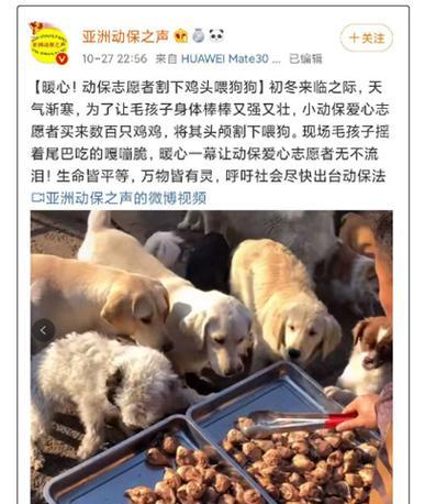 警惕狗狗中毒的种种反应（狗狗中毒的主要症状及预防措施）