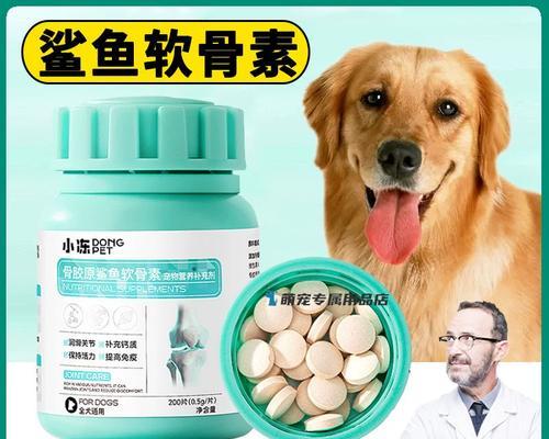 金毛幼犬缺钙怎么办？（为你的宠物提供合适的营养补充）