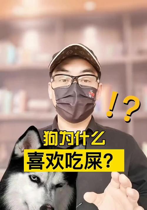狗为什么喜欢大便？（探索狗喜欢大便的原因与行为特点）