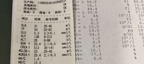 狗尿毒症（了解狗尿毒症及其药物治疗方法）