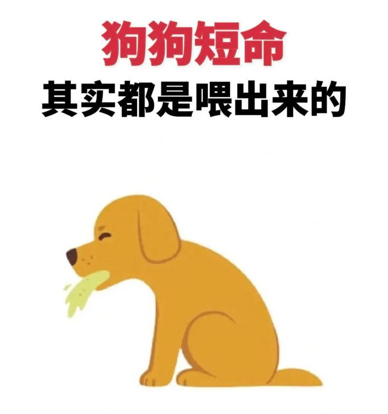 揭秘狗为什么不吃东西的原因（探寻狗拒食的内因和外因）