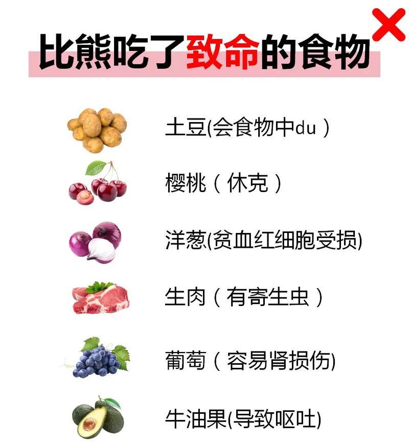 成年比熊的最佳饮食选择（营养均衡的饮食方案助力健康成长）