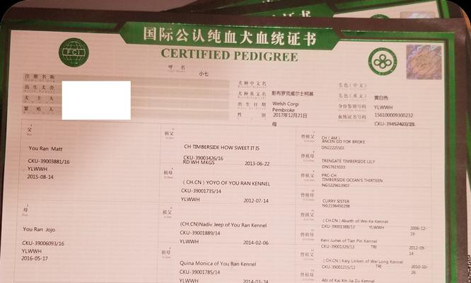 深入了解以血统证书的号码（探秘血统证书中的关键号码）