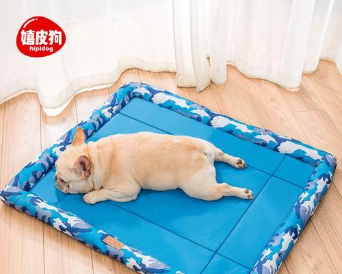 以狗来例假垫的症状与处理方法（狗狗例假期的特征和健康状况，有效处理方式一览）
