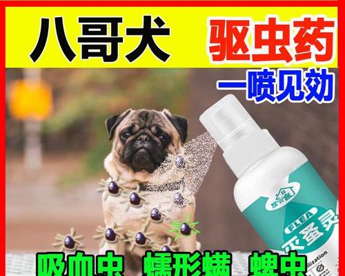 狗身上的吸血虫症状及防治措施（了解犬体感染吸血虫的症状和保护措施）