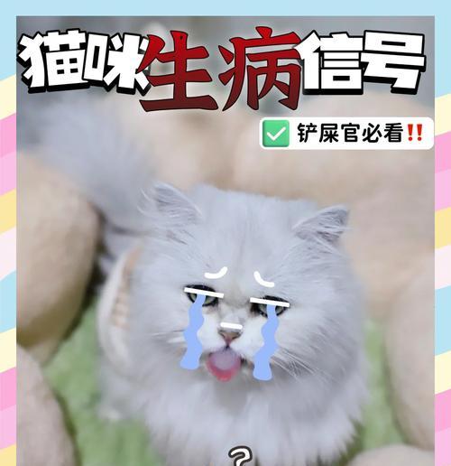 猫食欲不振的10个原因（分析猫咪不吃饭的常见原因及解决方法）