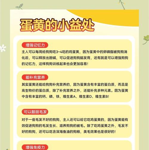 狗狗可食用熟蛋黄的时间以及注意事项（了解熟蛋黄对狗狗的影响，让它们享受美味的同时保持健康）