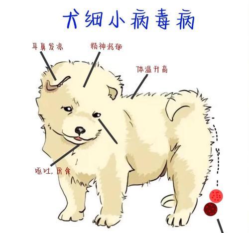 狗狗细小（宠物细小病毒的危害和保护措施）