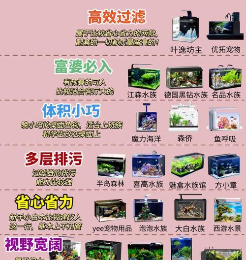 如何准确计算鱼缸的水容量（简单易懂的计算方法和关键因素解析）