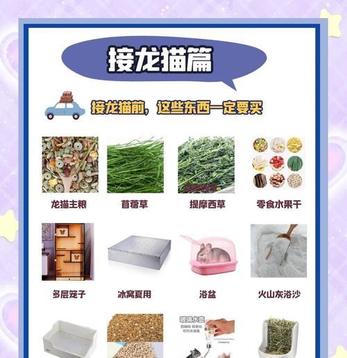 龙猫价格揭秘（探寻龙猫市场中性价比最高的品种及价格范围）
