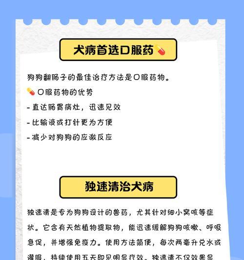 如何应对狗狗翻肠问题（重视疫苗接种，及时就医解决翻肠问题）