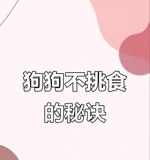 狗狗挑食问题解决方法（怎样判断狗狗挑食是否身体有问题）