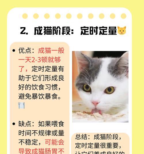 如何正确喂养猫咪？（每天喂猫咪多少猫粮最合适？）