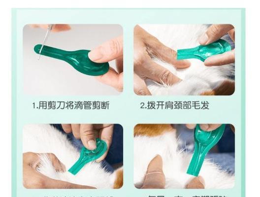 狗狗驱虫频率的合理安排（掌握正确的体内和体外驱虫周期，守护狗狗健康）