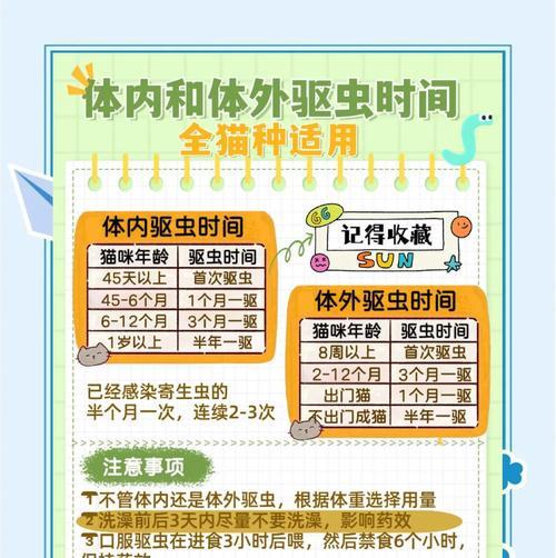 猫咪驱虫的重要性与方法（了解猫咪驱虫的必备知识，保护它们的健康）