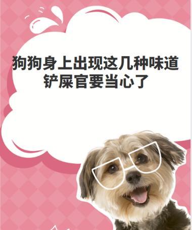狗的味道（探索狗身上的气味及其消失时间）